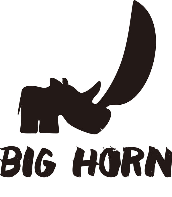 BIG HORN eyewear