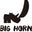 BIG HORN Eyewear logo
